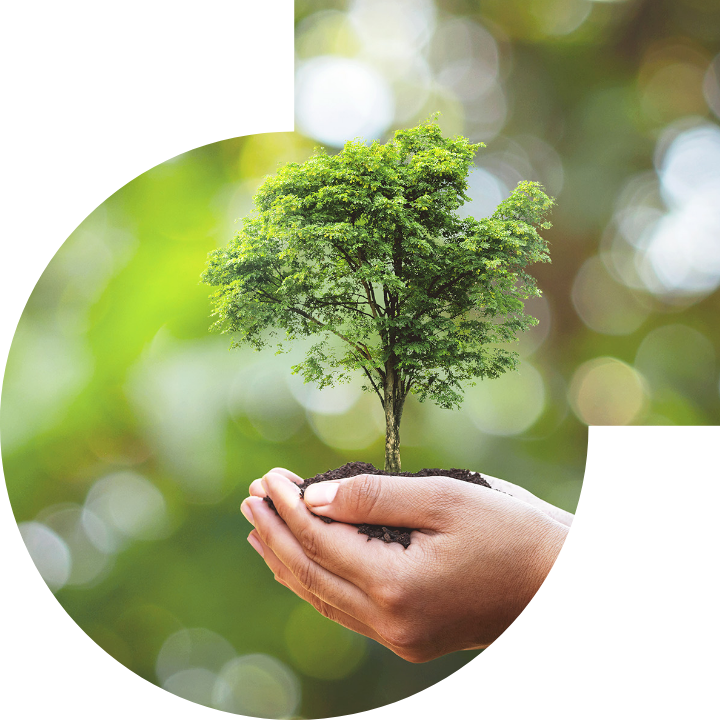 关怀人类、文化、环境与社会