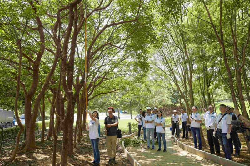 藝師教導大家認識樹木、檢查樹的健康狀況，學習修枝及碎枝覆土